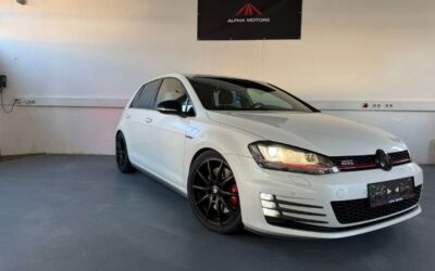 VW GOLF GTI PERFORMANCE